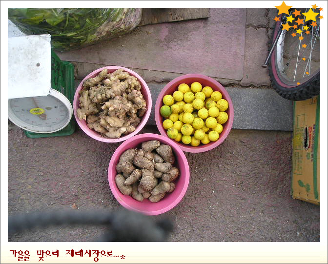 가을담 이미지