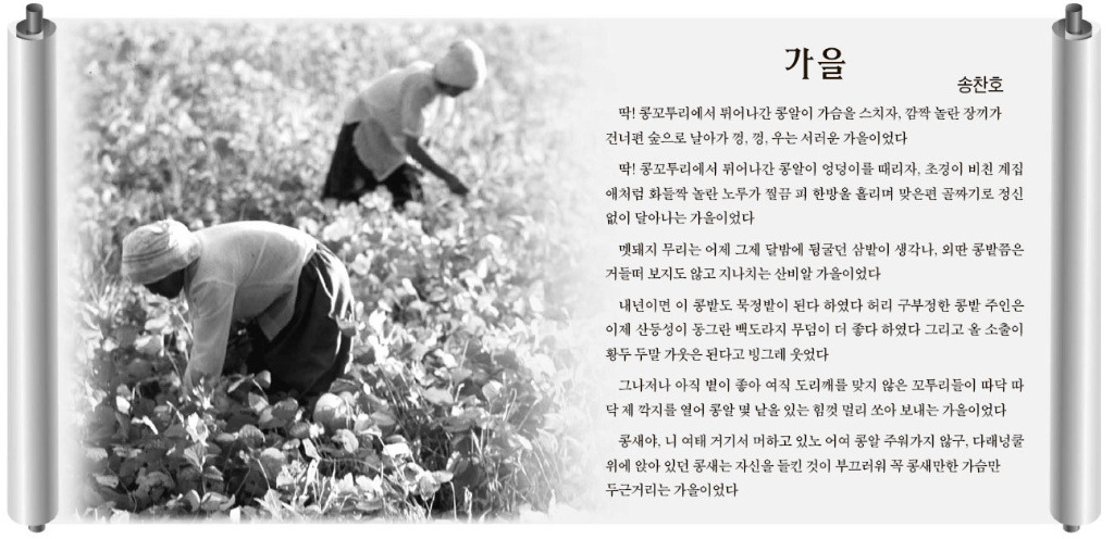 콩미당 이미지