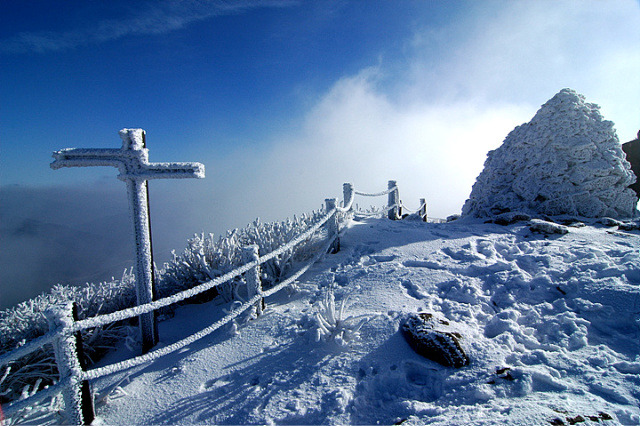 산동목재 이미지