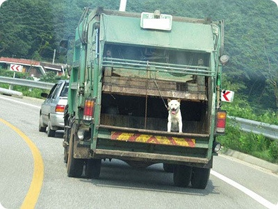 복이 이미지