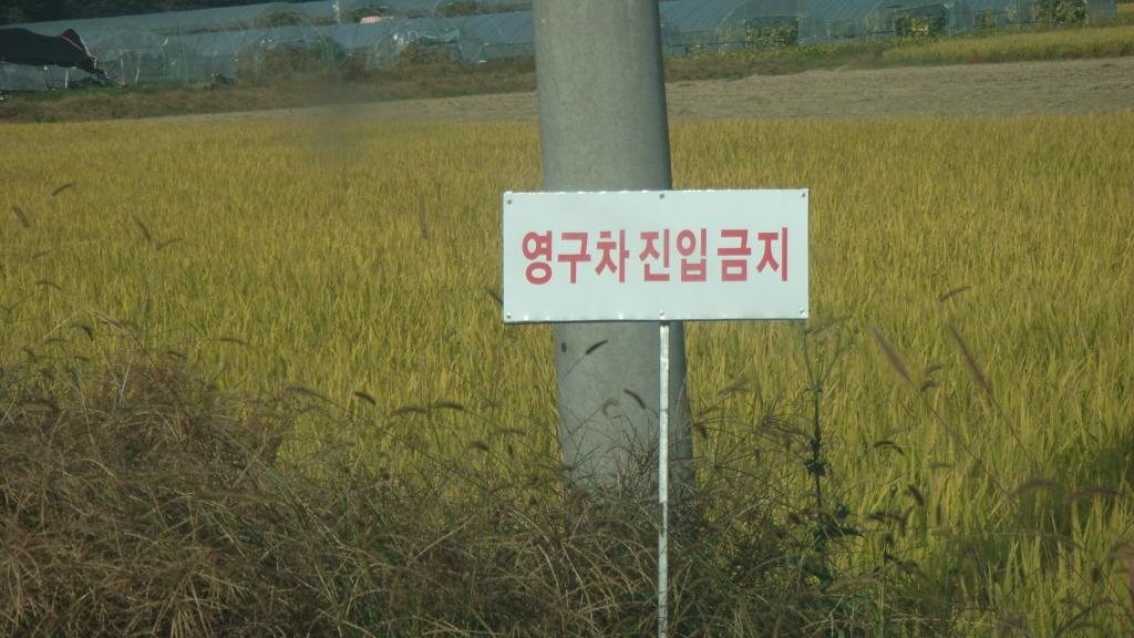 탄천IC(하) 이미지