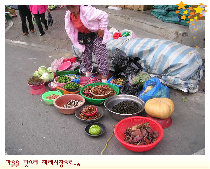 가을담 이미지
