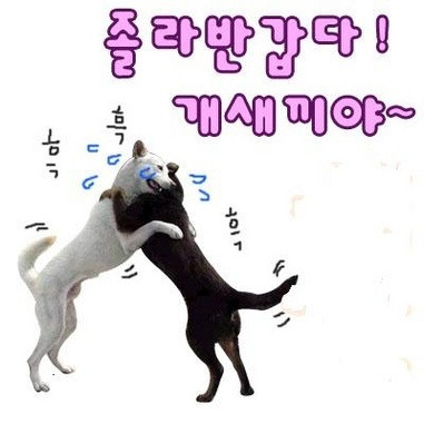 짱이 이미지