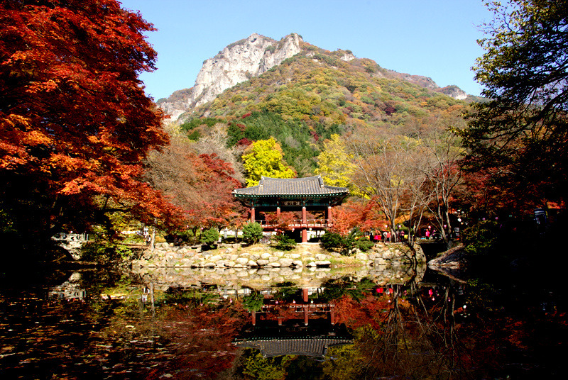 서로좋아 이미지