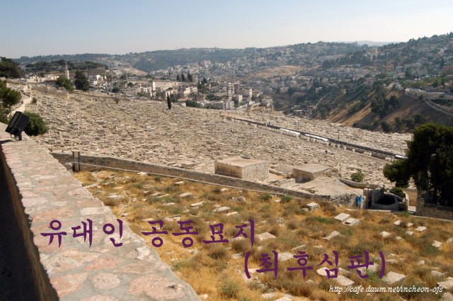 겟세마니동산 이미지
