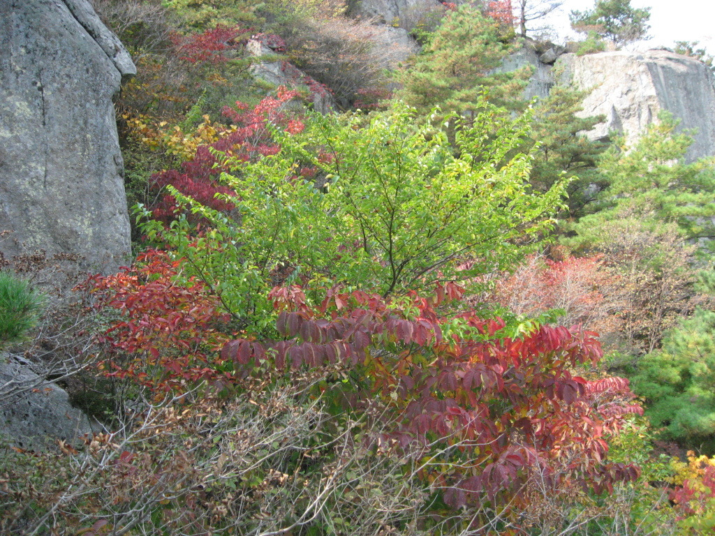 용주농원 이미지